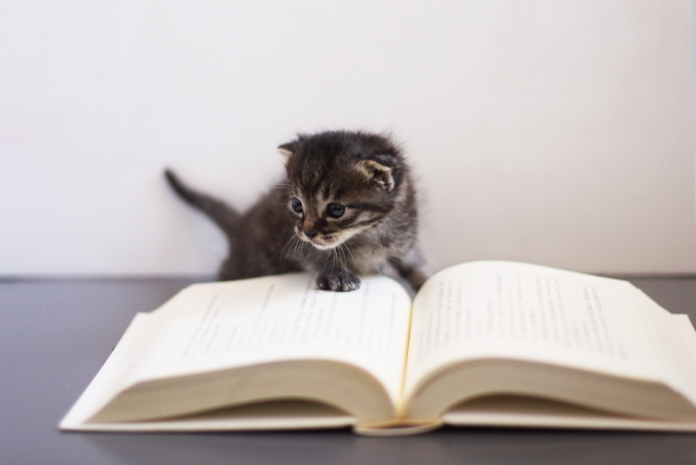 読書